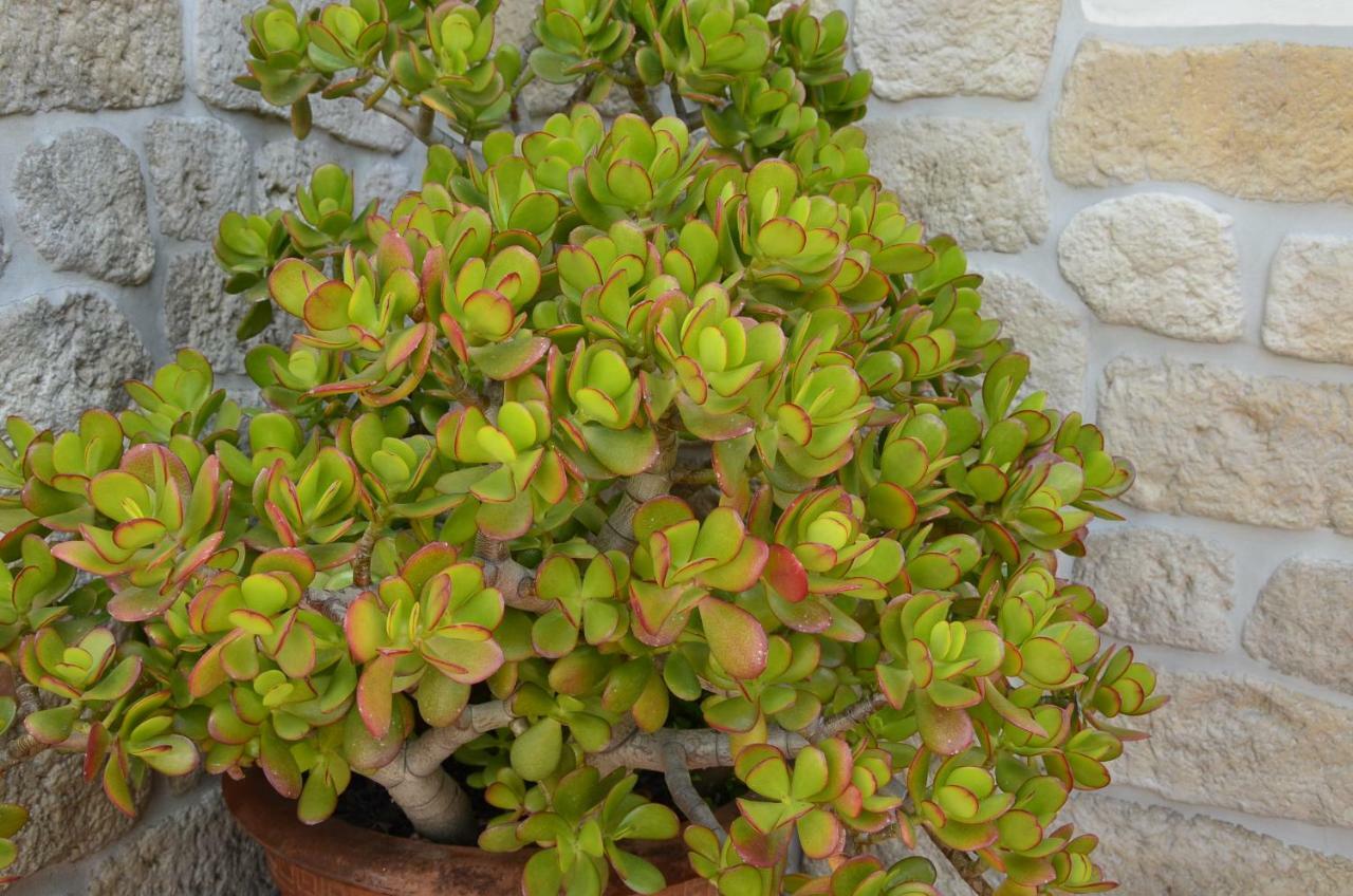 B&B Antica Dimora Olbia Luaran gambar